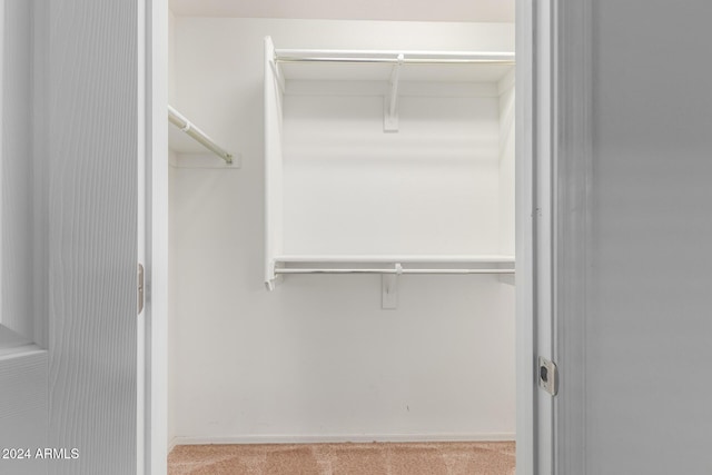 spacious closet featuring carpet