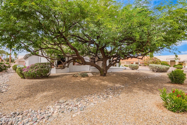 14609 W Black Gold Ln, Sun City West, AZ 85375 - view of yard