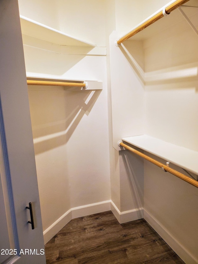 walk in closet featuring dark hardwood / wood-style floors