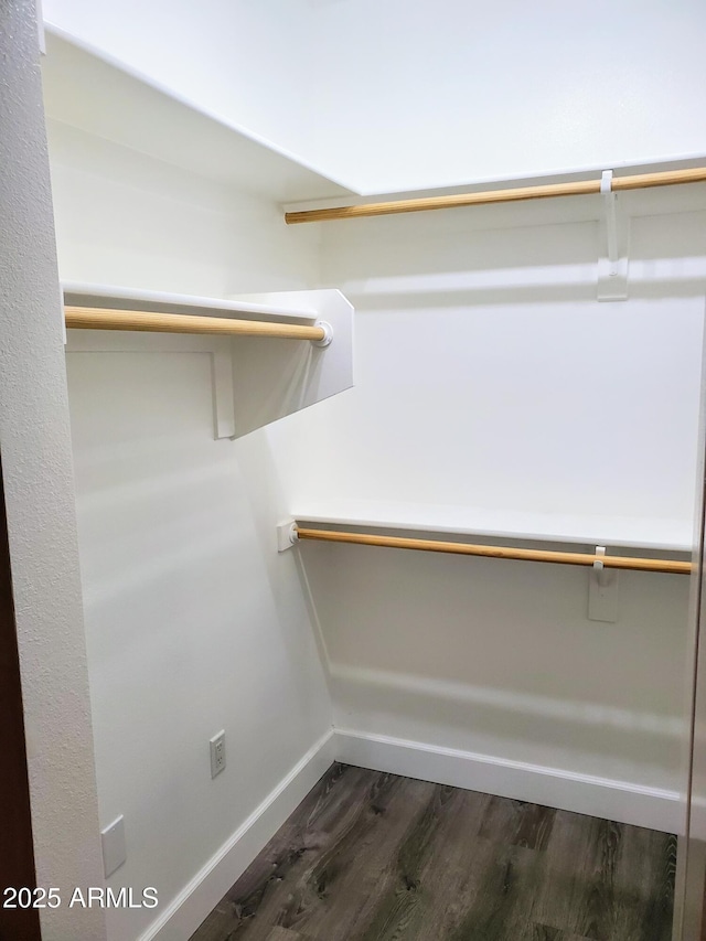 spacious closet with dark wood-type flooring