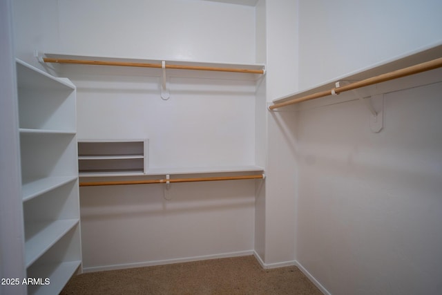 spacious closet with carpet flooring