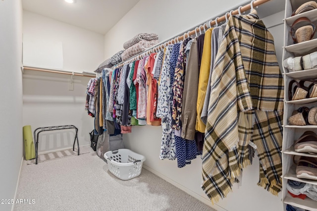 spacious closet featuring carpet