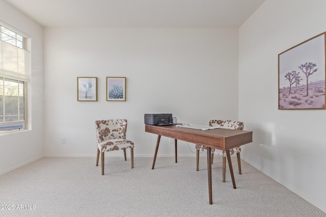 office featuring carpet and baseboards