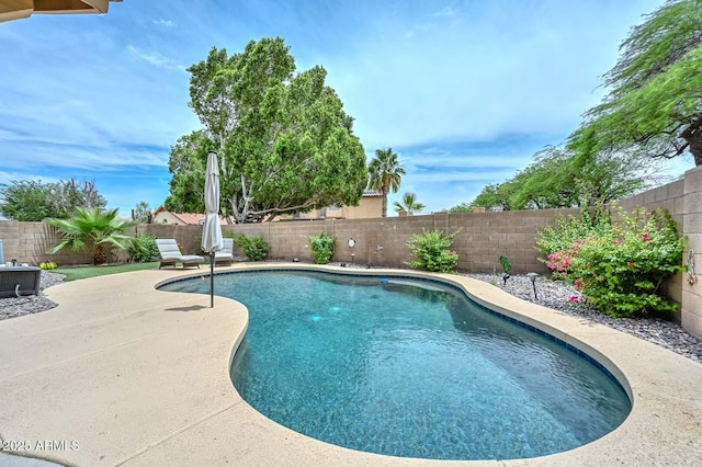 7949 W Wescott Dr, Glendale, AZ 85308 - view of pool featuring a fenced backyard and a patio