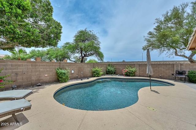7949 W Wescott Dr, Glendale, AZ 85308 - view of pool with a fenced backyard and a patio area