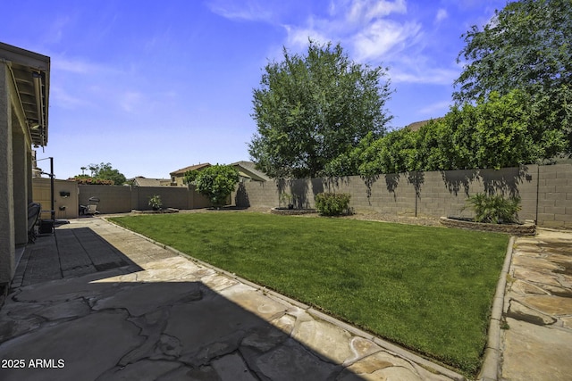 view of yard featuring a patio and a fenced backyard