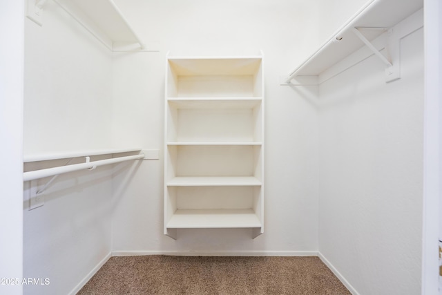 17824 E Chestnut Dr, Queen Creek, AZ 85142 - walk in closet with carpet floors