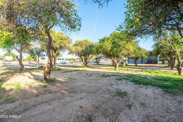 17824 E Chestnut Dr, Queen Creek, AZ 85142 - view of yard