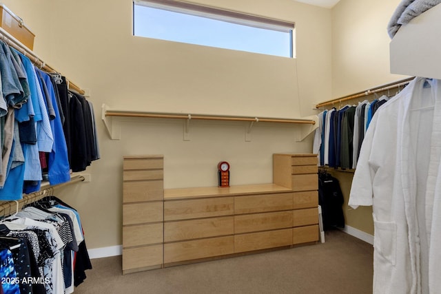 spacious closet with light carpet