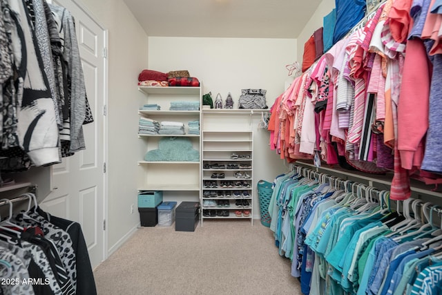 spacious closet with carpet floors