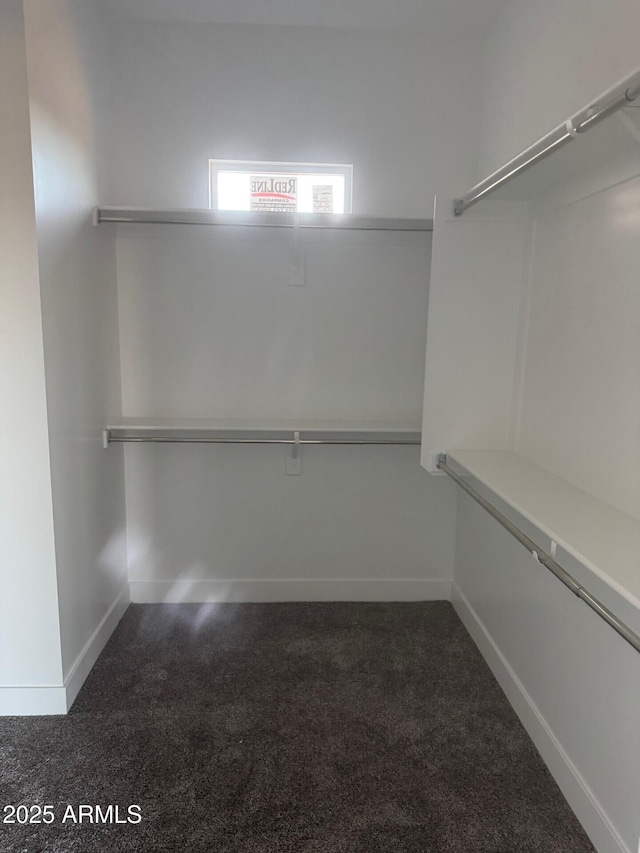 walk in closet with carpet