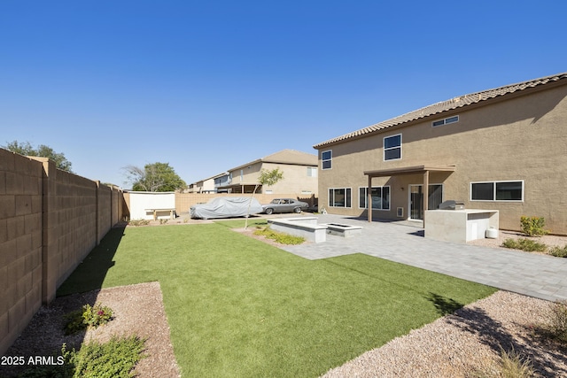 view of yard featuring an outdoor kitchen and a patio area