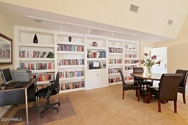 interior space featuring track lighting and light carpet