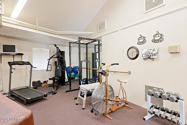 exercise area with vaulted ceiling and carpet