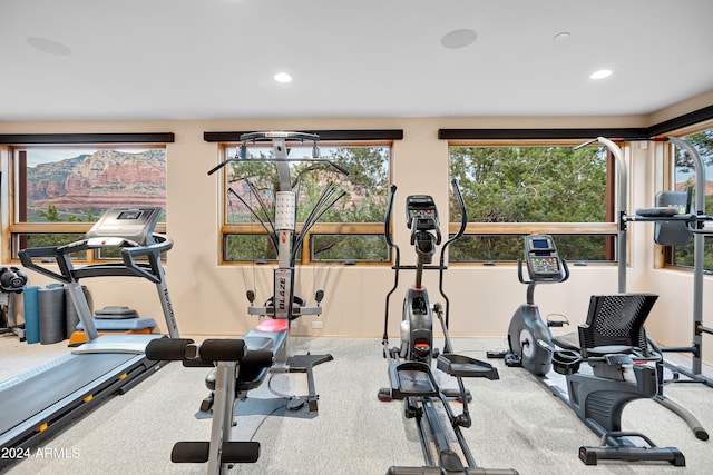 workout area with carpet floors