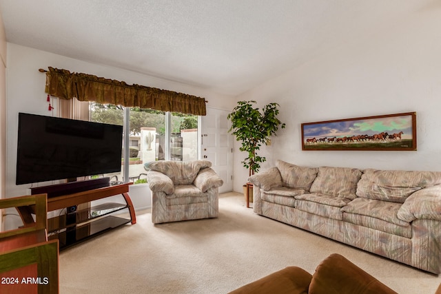 living room with lofted ceiling, carpet, and a textured ceiling