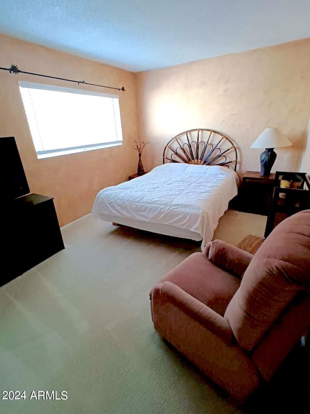 bedroom with carpet floors