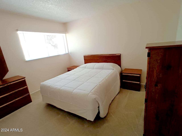 bedroom featuring carpet flooring and a textured ceiling