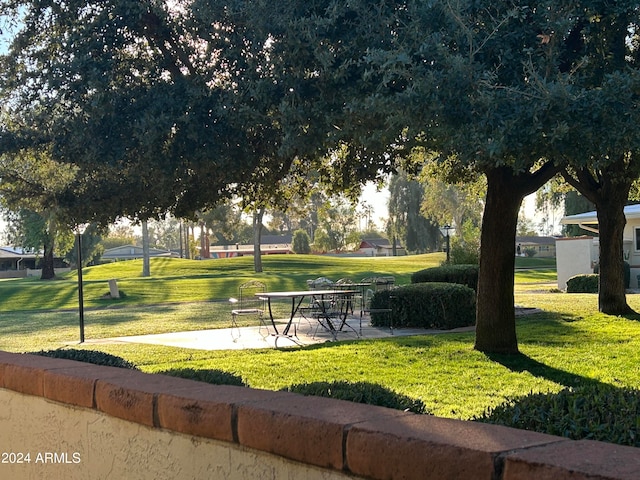 view of property's community with a patio area and a lawn