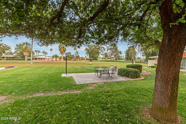 surrounding community with a patio and a lawn