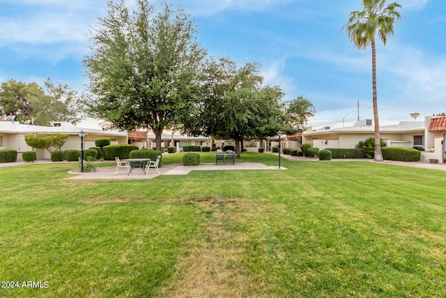 view of yard with a patio area