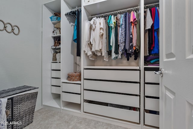 view of spacious closet