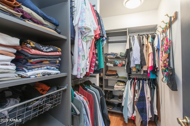 spacious closet with wood finished floors