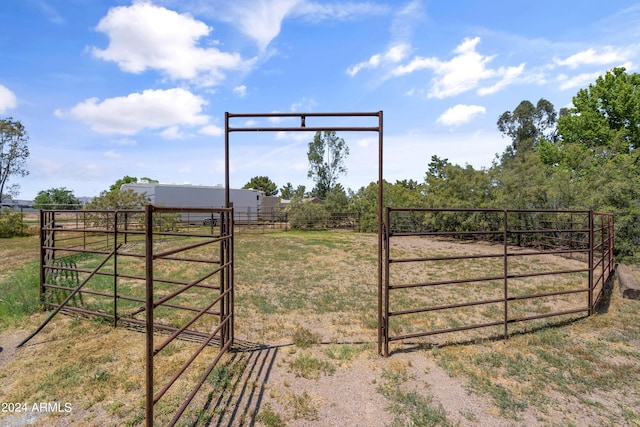 view of yard with a rural view