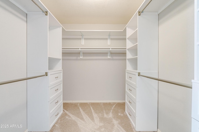 spacious closet featuring light colored carpet