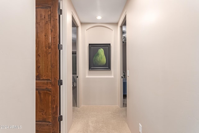 hallway with carpet floors