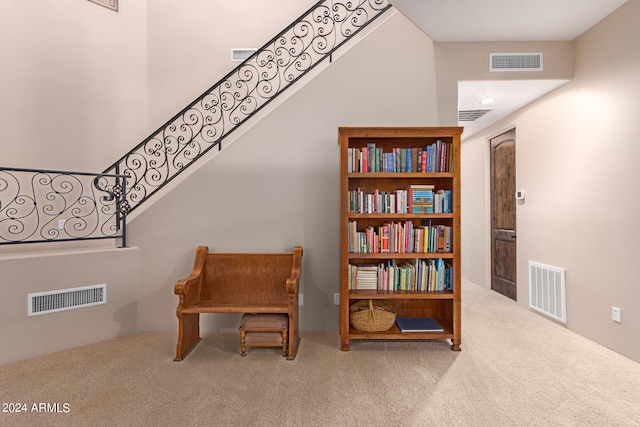 interior space featuring carpet floors