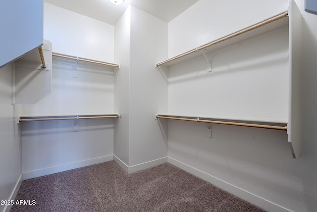 spacious closet with carpet flooring