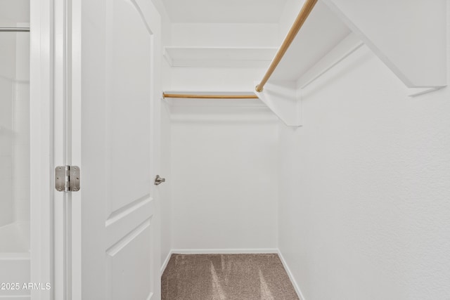 973 E Kelsi Ave, San Tan Valley, AZ 85140 - spacious closet with carpet floors