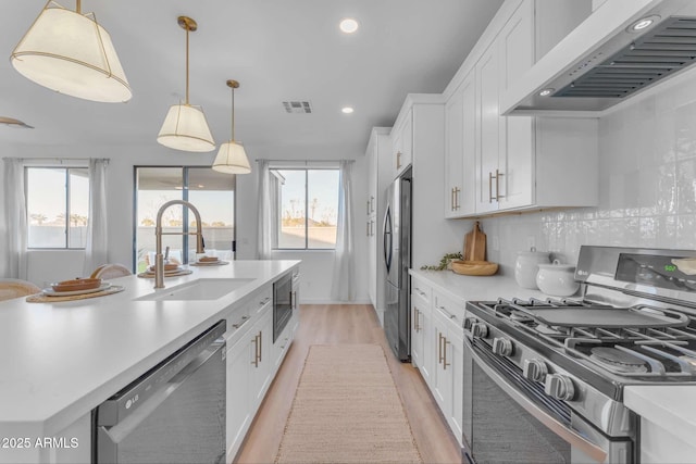 kitchen with appliances with stainless steel finishes, pendant lighting, white cabinetry, sink, and custom range hood