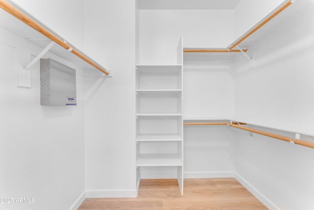 spacious closet featuring hardwood / wood-style flooring