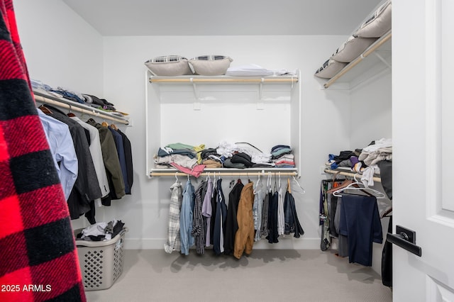 spacious closet featuring carpet
