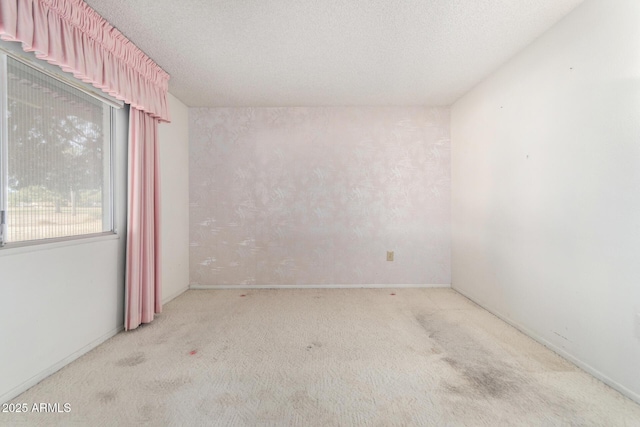 spare room with light carpet