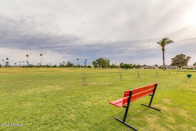 view of community with a yard