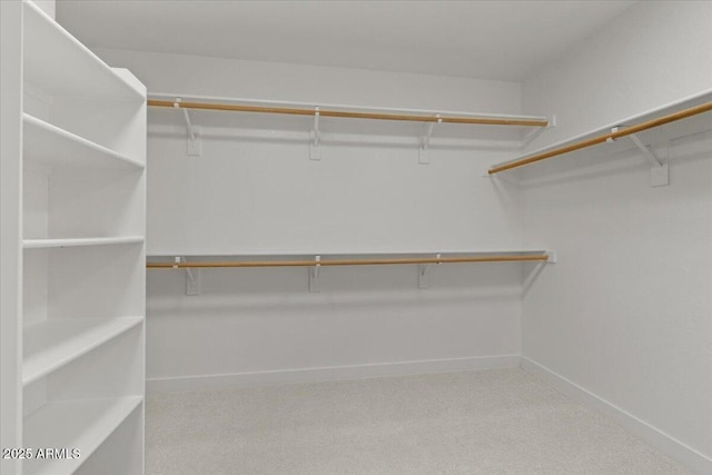 spacious closet with carpet floors