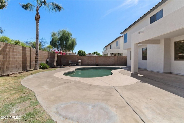 view of pool featuring a fenced backyard, a fenced in pool, and a patio
