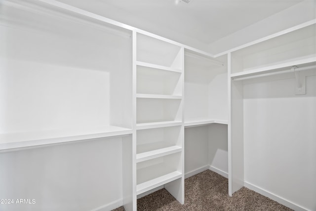 spacious closet with carpet floors