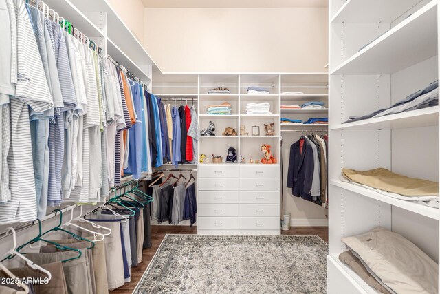 3205 S Ponderosa Dr, Gold Canyon, AZ 85118 - walk in closet featuring wood finished floors