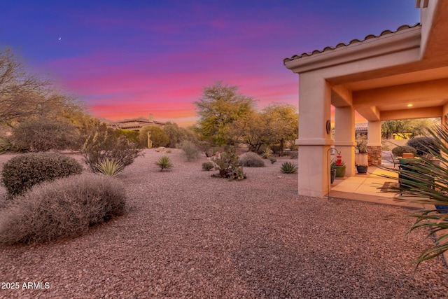 3205 S Ponderosa Dr, Gold Canyon, AZ 85118 - view of yard
