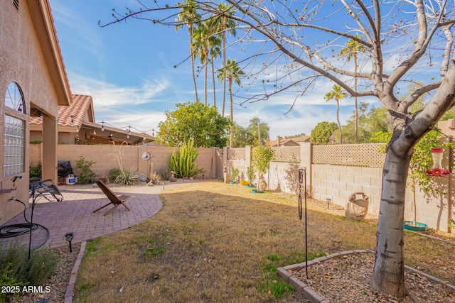 view of yard featuring a patio area