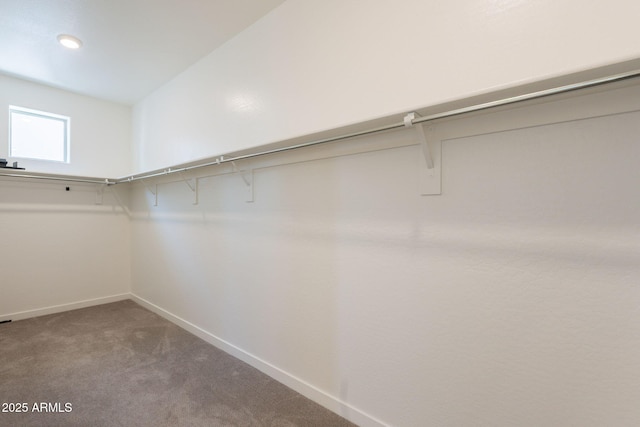 300 N Gila Springs Blvd Unit 144, Chandler, AZ 85226 - spacious closet with carpet floors