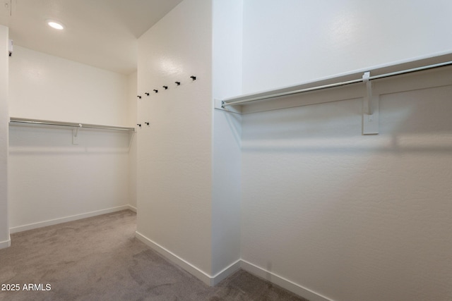 300 N Gila Springs Blvd Unit 144, Chandler, AZ 85226 - walk in closet featuring carpet floors