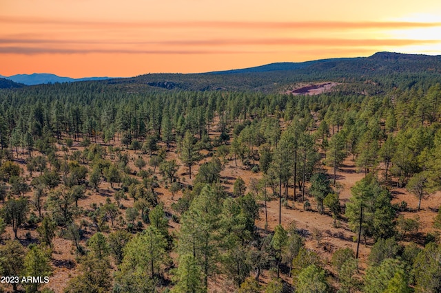 0000 Fawn Dr -, Unit Pine AZ, 85544 land for sale