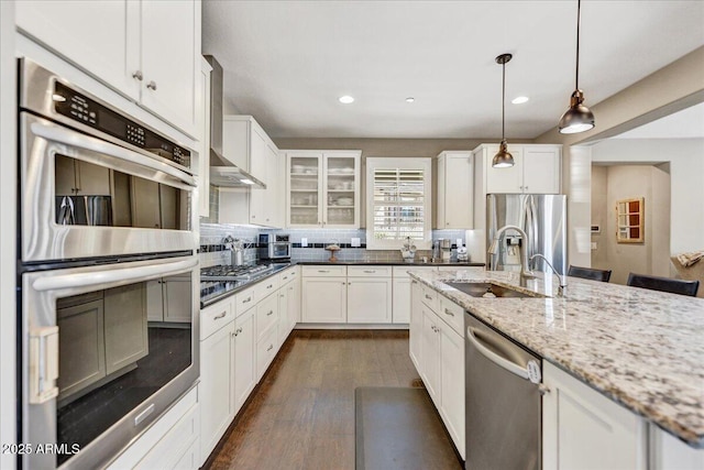 kitchen with wall chimney range hood, a sink, tasteful backsplash, and appliances with stainless steel finishes