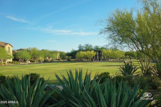 view of property's community with a lawn