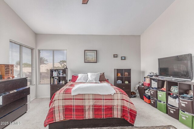 bedroom featuring baseboards and carpet
